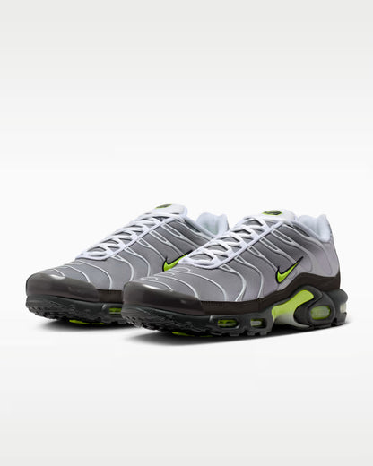 Tn Gray Limited edition